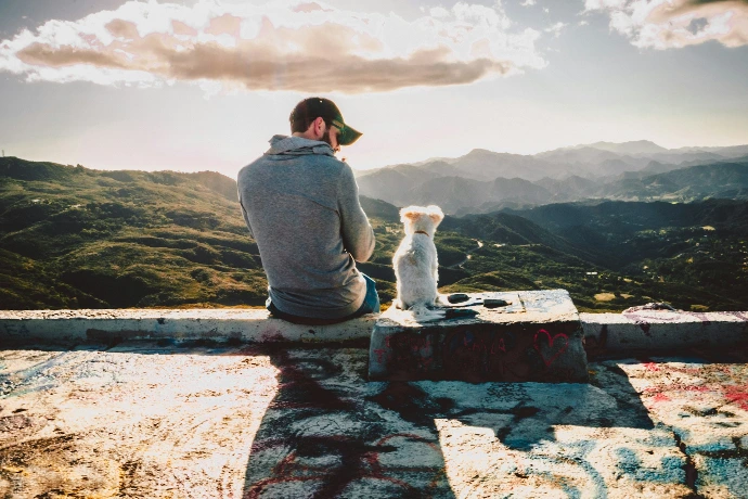 pet home care - man sitting beside dog